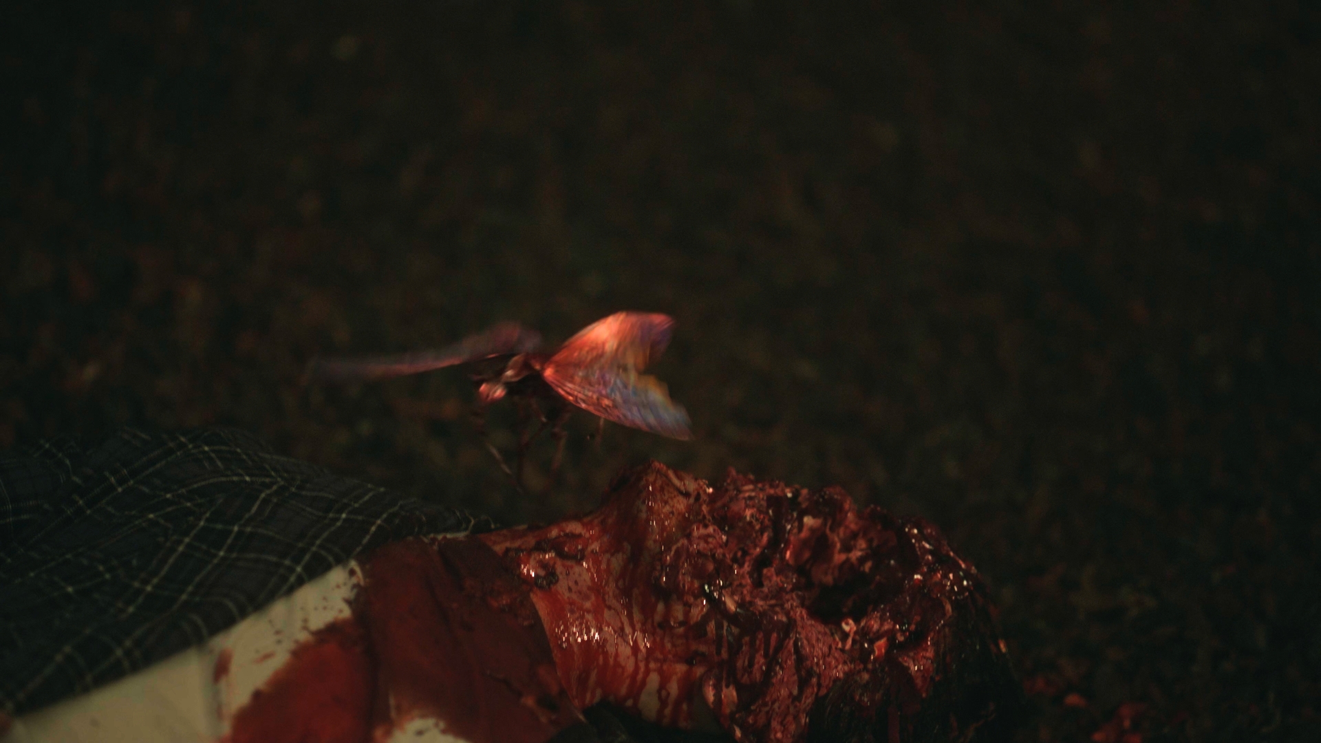 Still 2025 11 01 161911 1.2.2